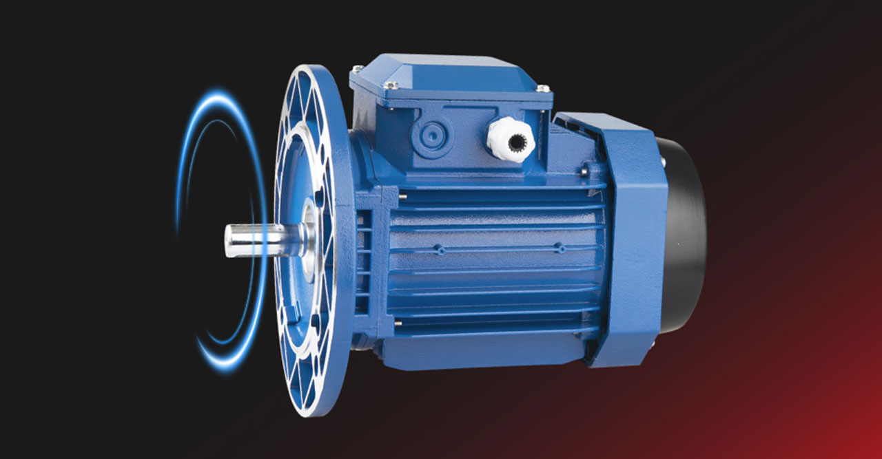 Three-phase Asynchronous Motors