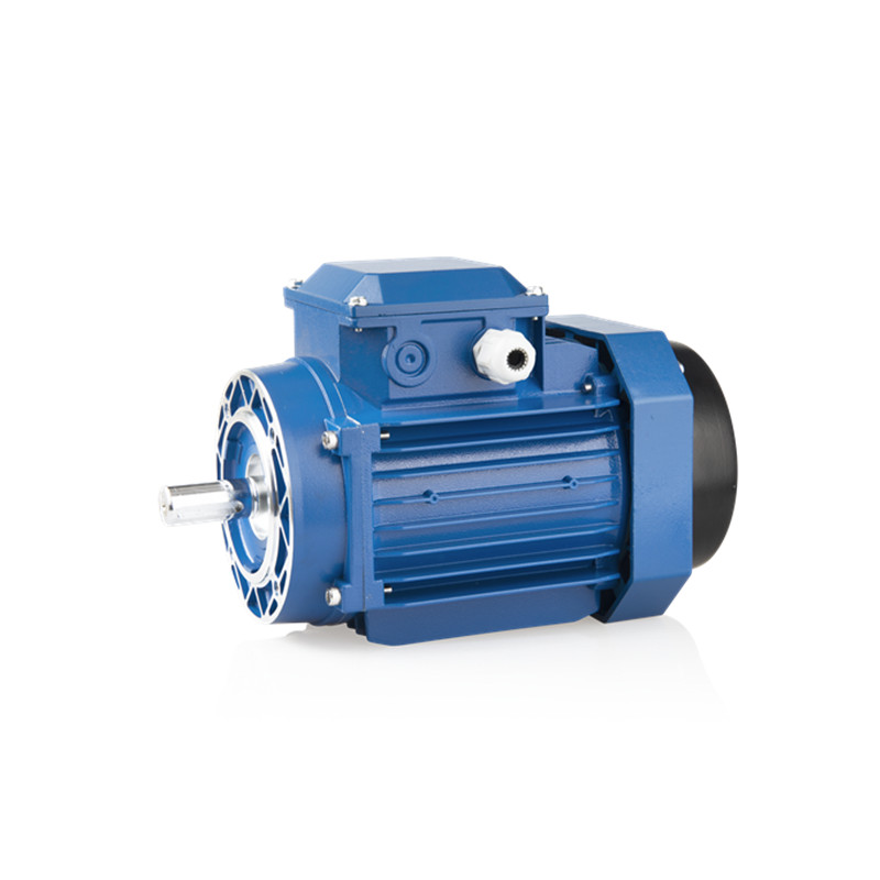 Nomal Motor